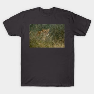 Young Lion Watching T-Shirt